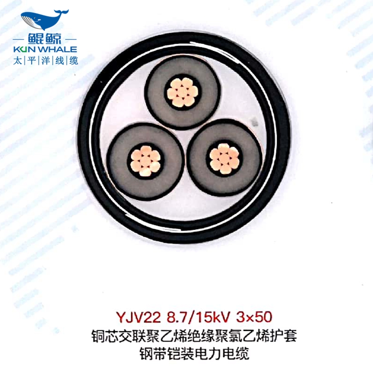 鄭州電纜廠高低壓電纜廠商淺談鎧裝電纜有哪些特點(diǎn)？鎧裝電纜型號